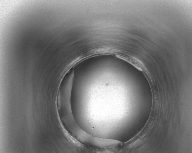 X0000068270946200605051811