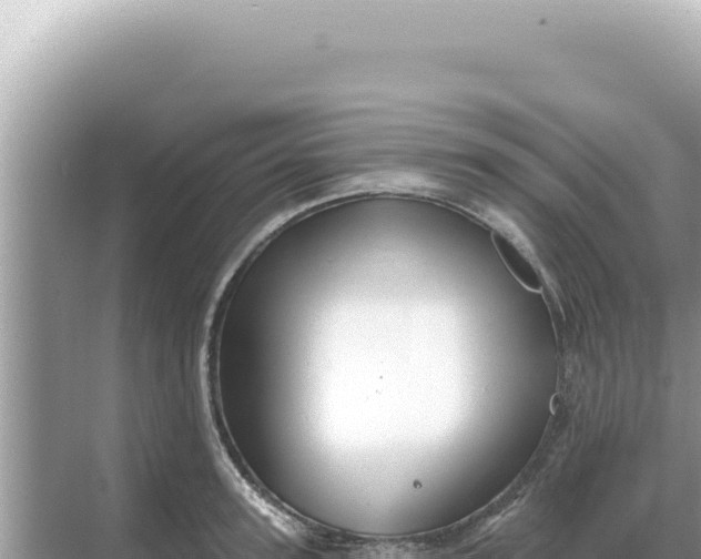 X0000068270947200605051811