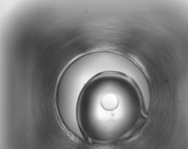 X0000068270948200605051811