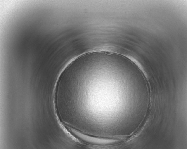 X0000068270949200605051811