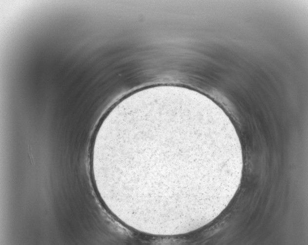 X0000068270950200605051811