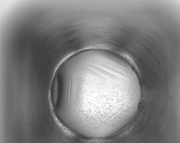 X0000068270952200605051811