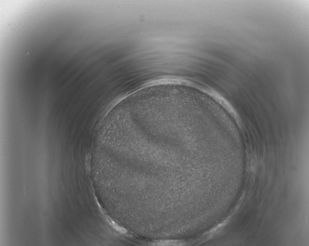 X0000068270953200605051811