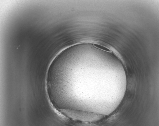 X0000068270955200605051811