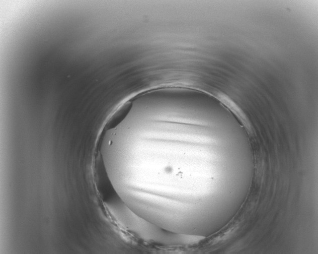 X0000068270956200605051811