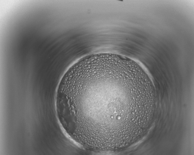 X0000068270957200605051811