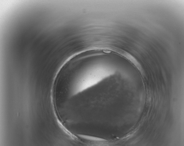 X0000068270958200605051811