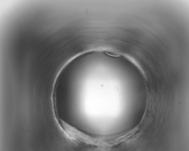 X0000068270959200605051812