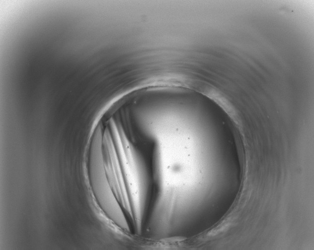 X0000068270960200605051812