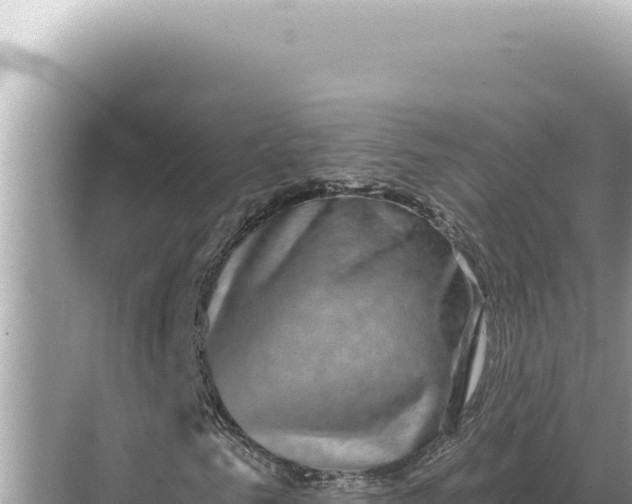 X0000068270961200605051811