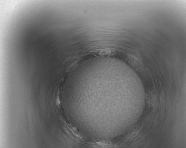 X0000068270962200605051811