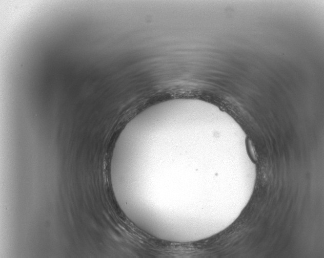 X0000068270964200605051811