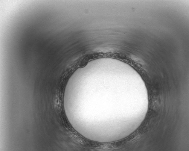 X0000068270966200605051811