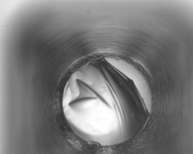 X0000068270968200605051811