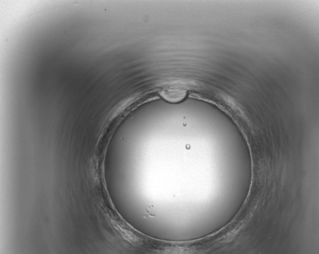 X0000068270970200605051811