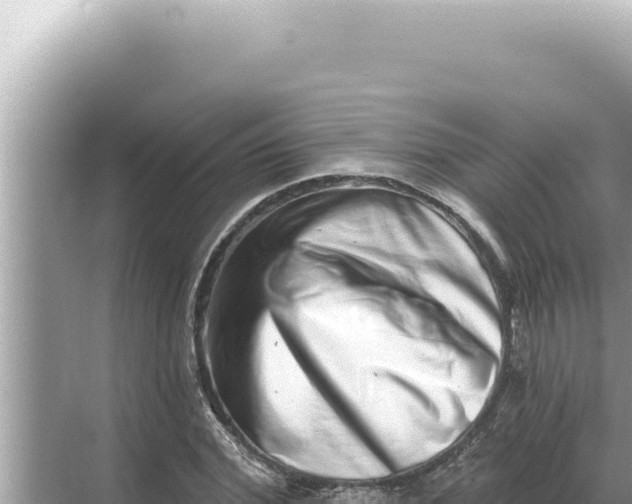 X0000068270972200605051811