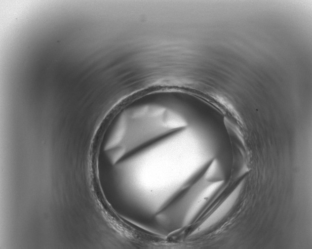 X0000068270976200605051810