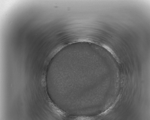 X0000068270977200605051810