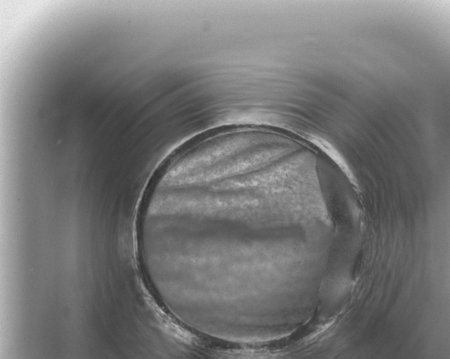 X0000068270980200605051810