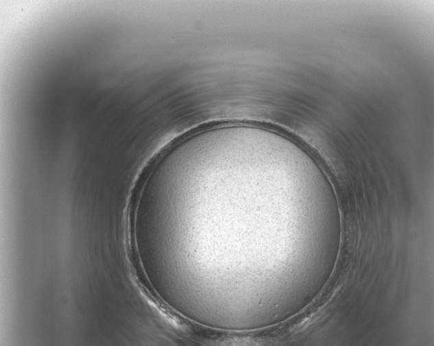 X0000068270982200605051810