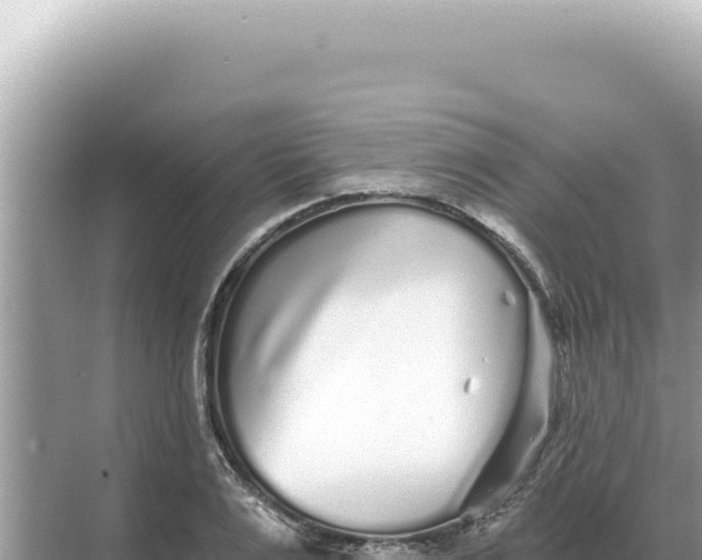 X0000068270983200605051810