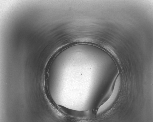 X0000068270984200605051810