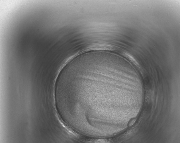 X0000068270986200605051810