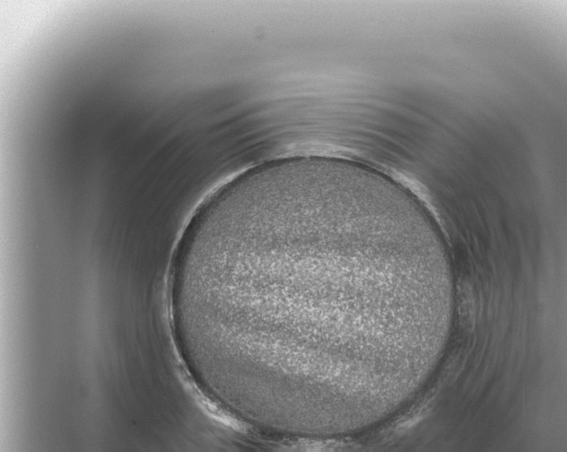 X0000068270987200605051810