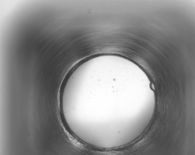 X0000068270988200605051810