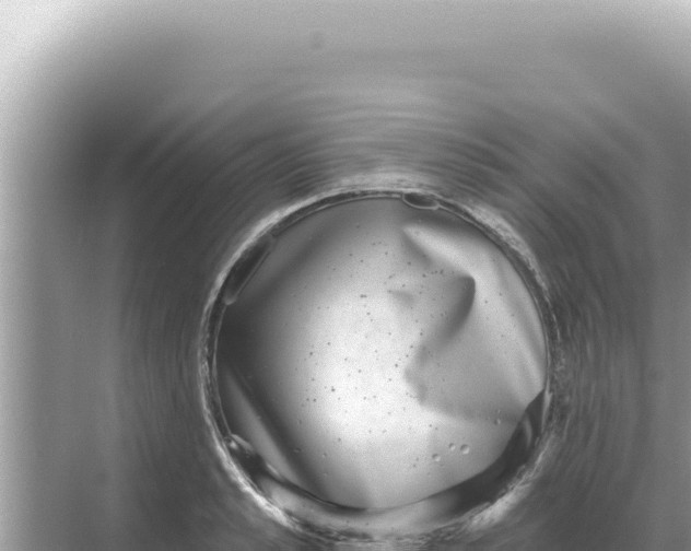 X0000068270989200605051810