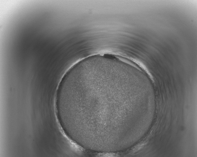 X0000068270991200605051810