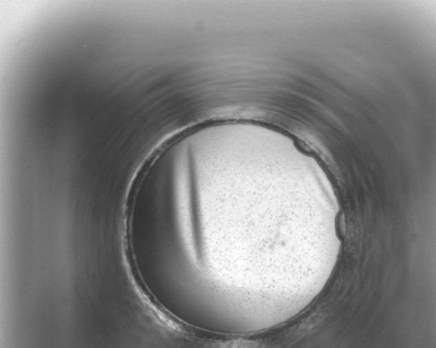 X0000068270992200605051810