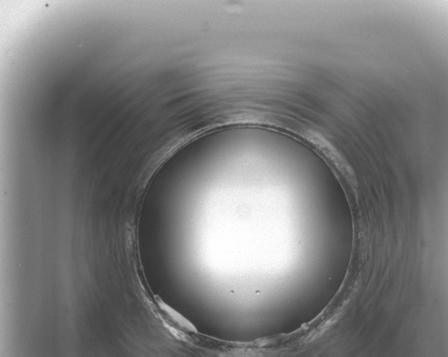 X0000068270993200605051810