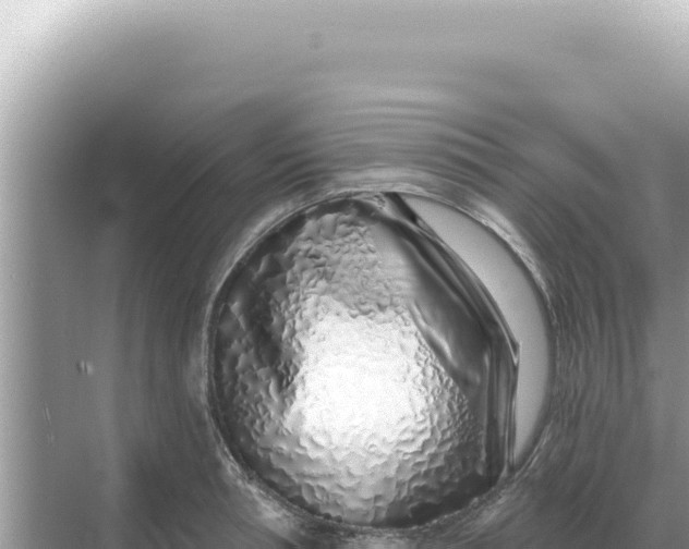 X0000068270994200605051810