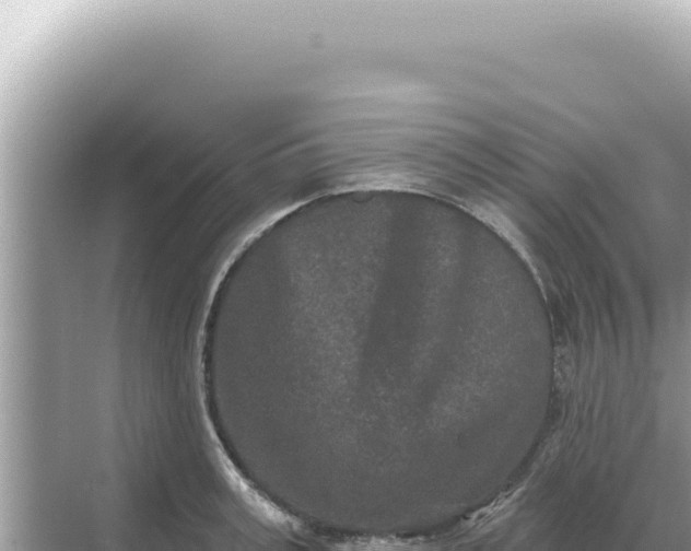 X0000068270995200605051810