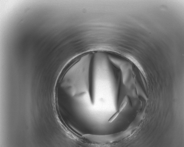 X0000068270996200605051810