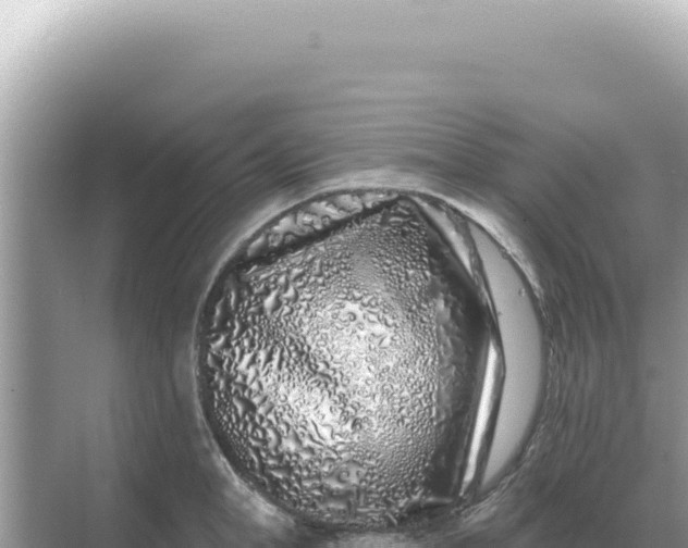 X0000068270998200605051810