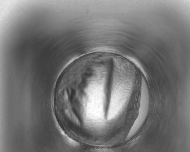 X0000068270999200605051810