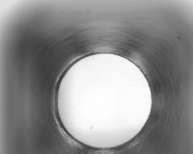 X0000068271000200605051810