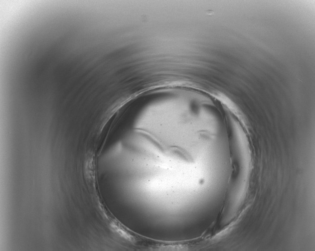 X0000068271001200605051810