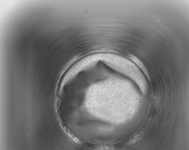 X0000068271002200605051810