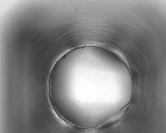 X0000068271003200605051810