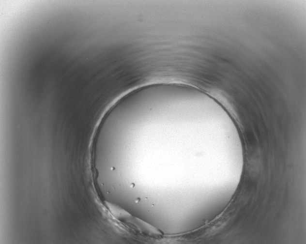 X0000068271004200605051810