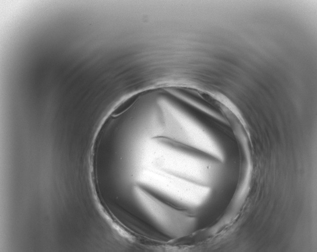 X0000068271005200605051810