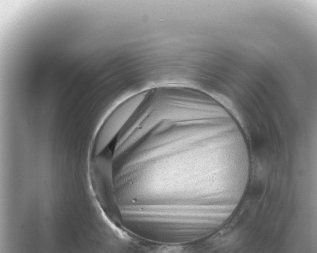 X0000068271006200605051810