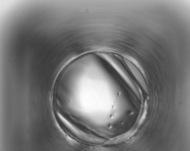 X0000068271007200605051810