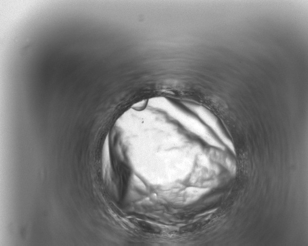 X0000068271009200605051809