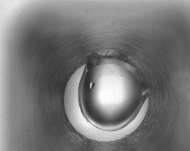 X0000068271010200605051809