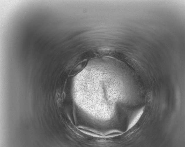 X0000068271011200605051809