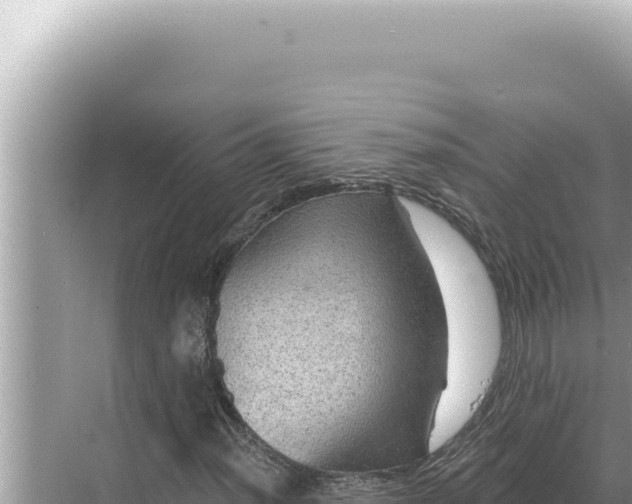 X0000068271012200605051809